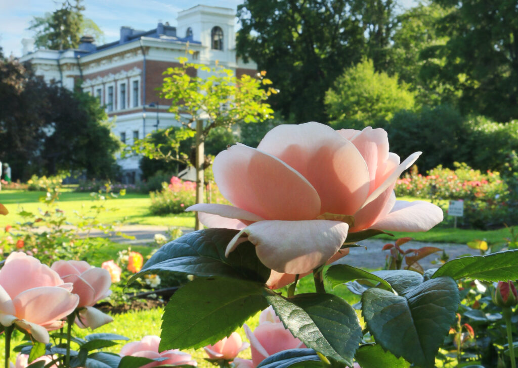 Hatanpään kartanon ainutlaatuinen miljöö