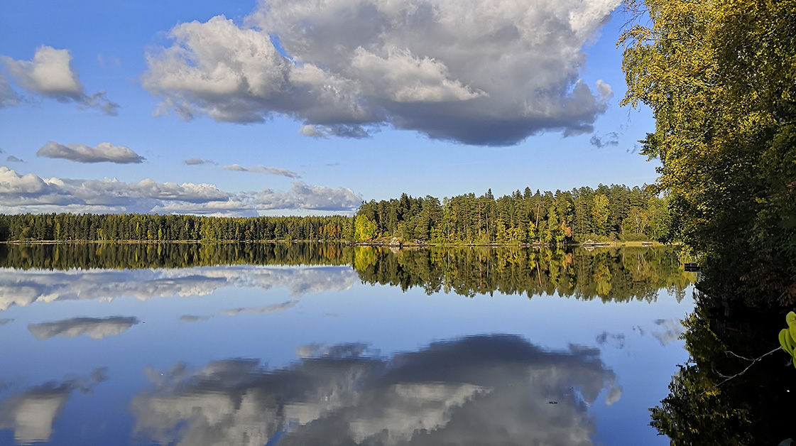Luonto on Juveneksen uusi sidosryhmä – vastuullinen toiminta uuden ajattelun suuntana