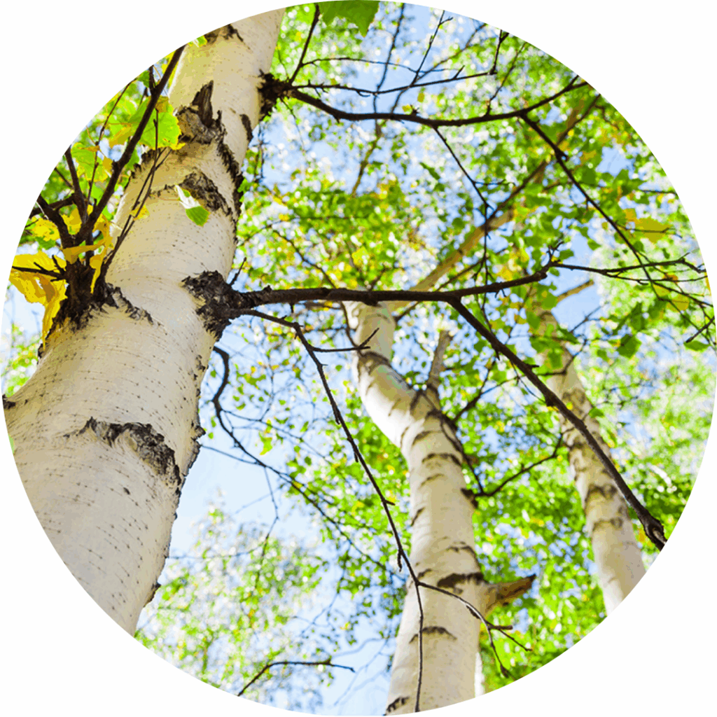 Ravintolapalveluita luontoa kunnioittaen