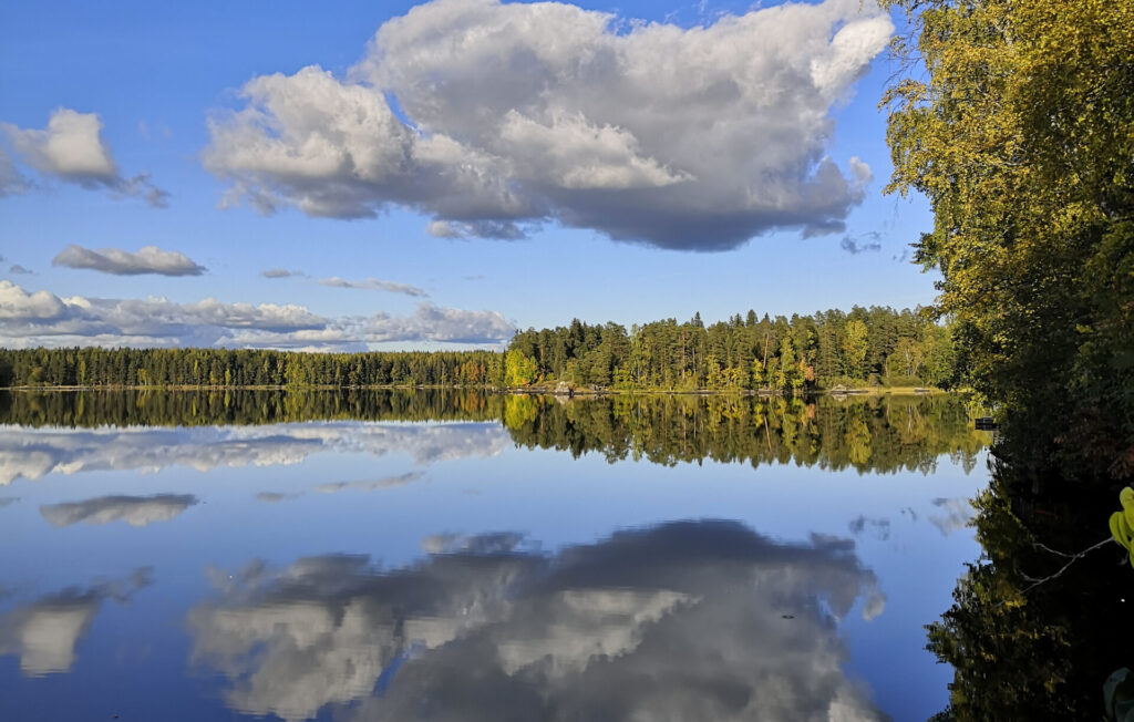 Luonto sidosryhmänä
