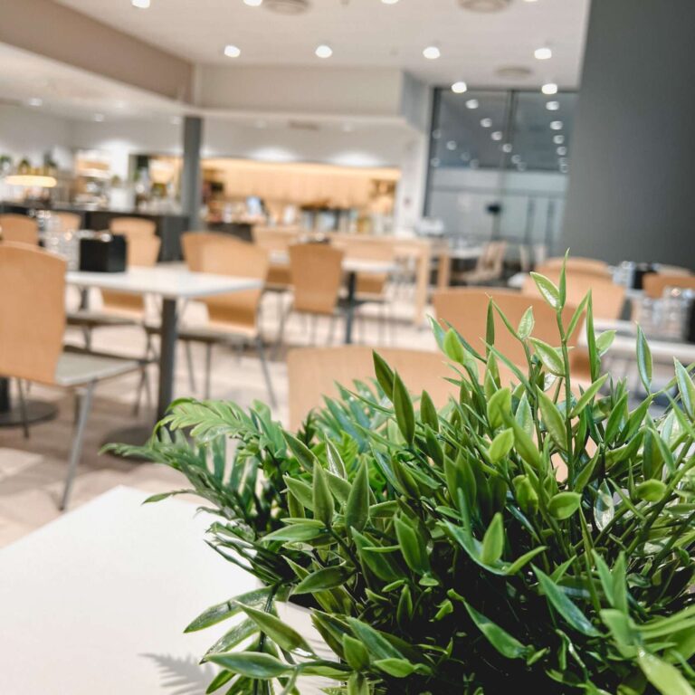 sato-talon juhlatilat