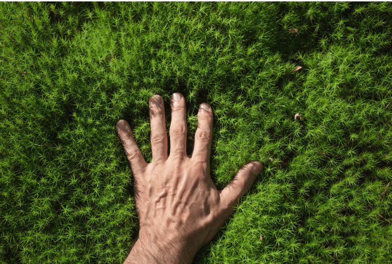 Juvenes Vastuullisuus - Vastuulliset päämäärät