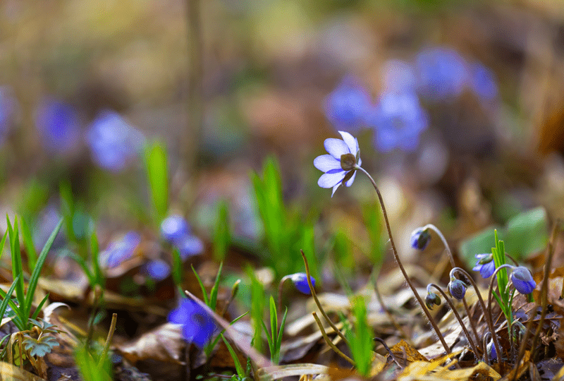 Juvenes Vastuullisuus - Vastuulliset päämäärät